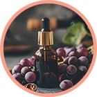 Resveratrol