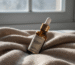 Skincare no Inverno: Como Evitar o Ressecamento e a Descamação - Intensive Repair